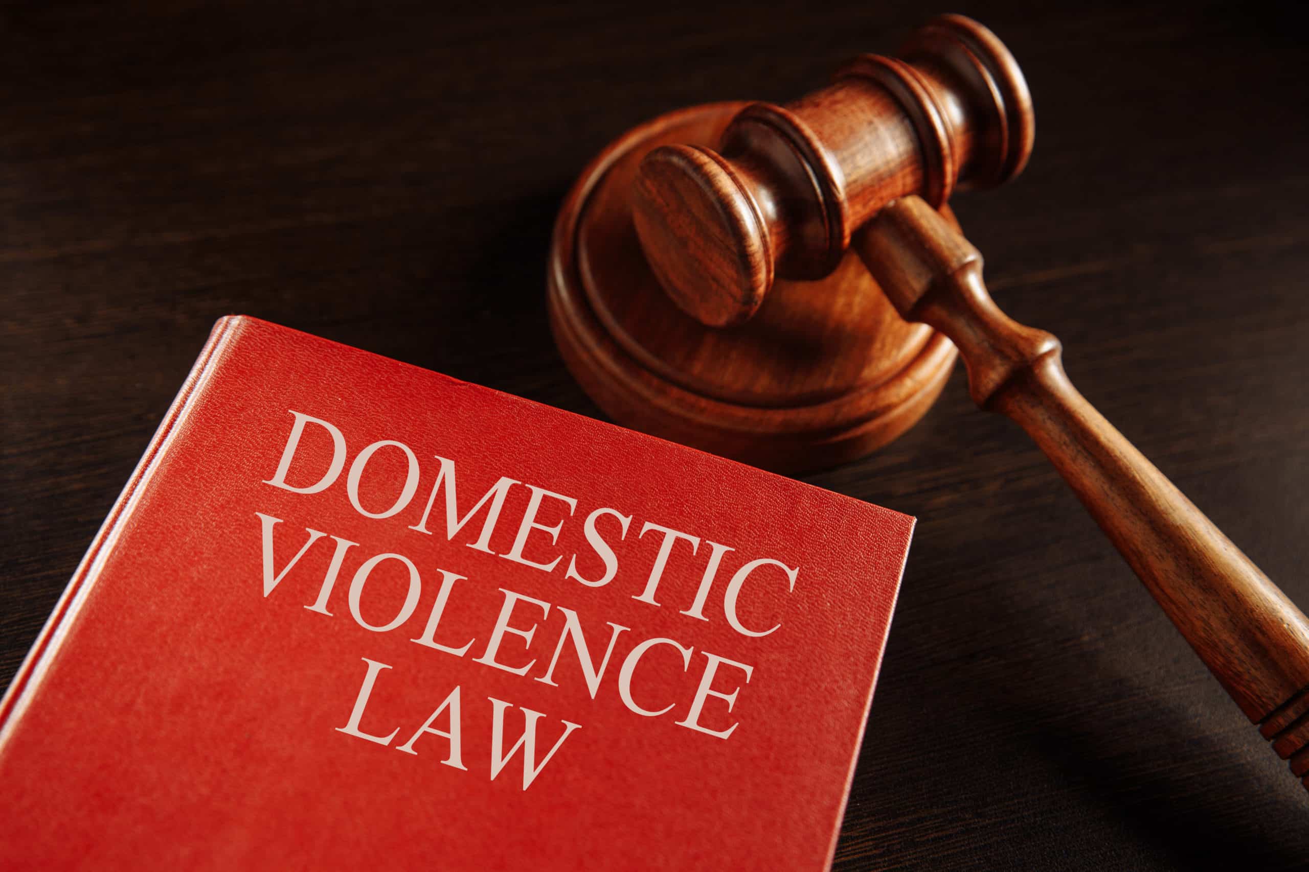 challenging evidence in domestic violence case