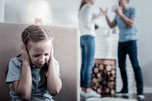 Domestic Violence Investigation
