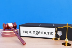 Crimes That Can Be Expunged